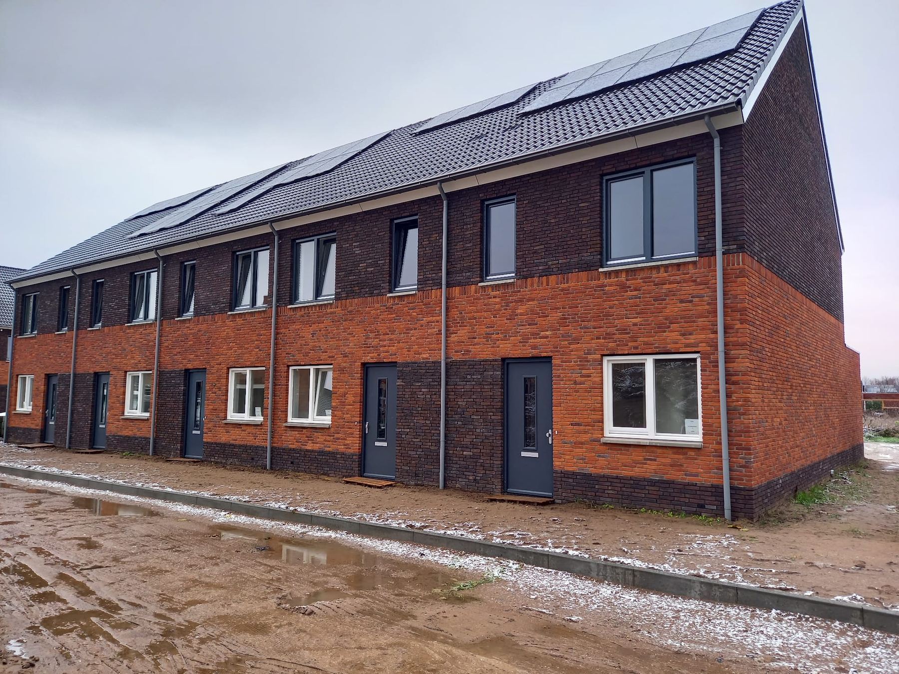 De Steenuil — beeld 2